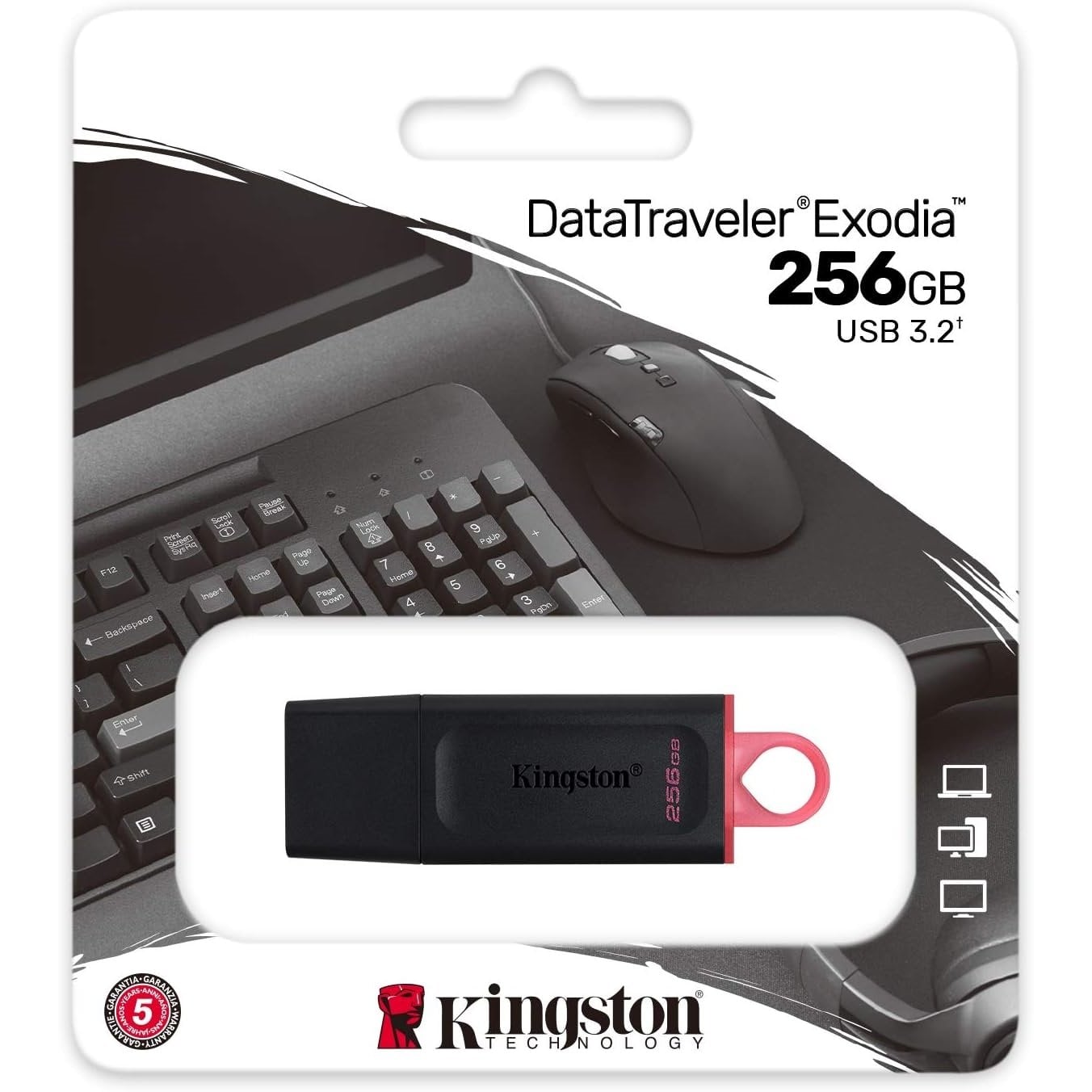 KINGSTON EXODIA DATATRAVELER 256GB