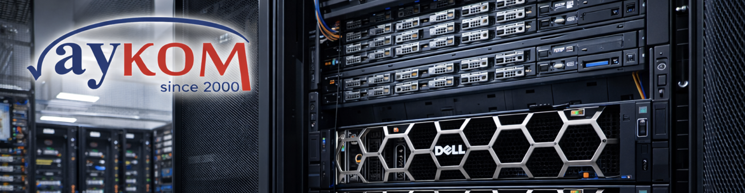 dell türkiye distribütörü