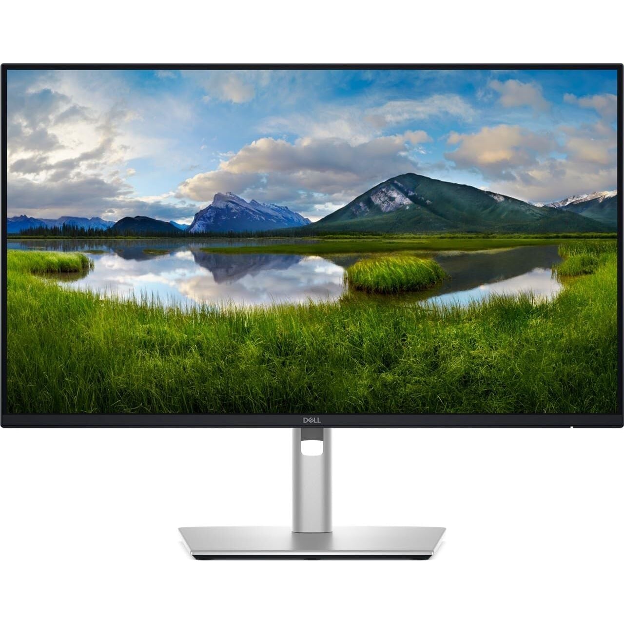 DELL PRO P2425D 24'' 5MS 100Hz 2K HDMI/DP/TYPE-C PIVOT IPS LED MONITOR