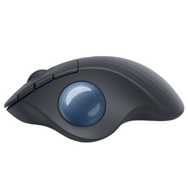 LOGITECH ERGO M575 KABLOSUZ SİYAH KURUMSAL MOUSE 910-006221