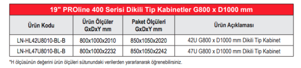 Lande Proline 400 Serisi LN-HL42U8010-BL-B 42U 800x1000 Dikili Tip Kabinet