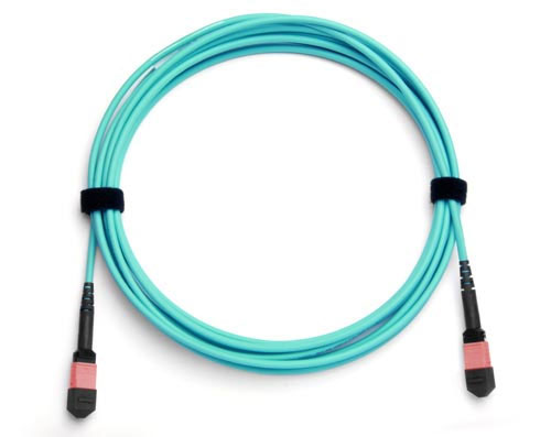 MPO(Female)-MPO(Female) Base-12 Multi-Mod Fiber Patch Cord OM3 Polarite B 3 Metre
