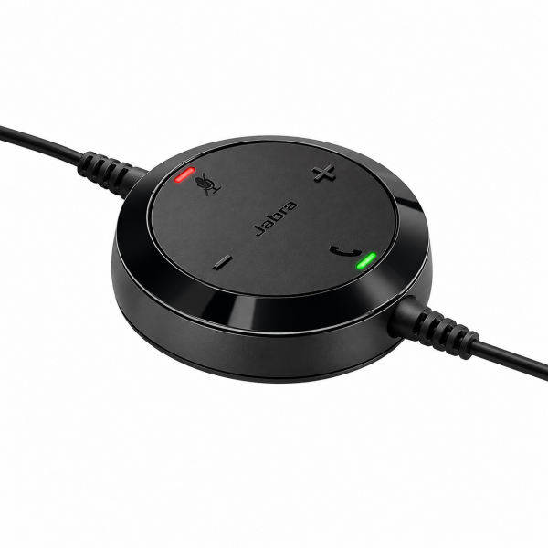 Jabra Evolve 20 Mono USB-C/A MS Mikrofonlu Kulak Üstü Kulaklık